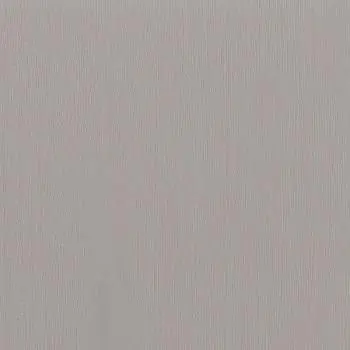 Тополь Грей