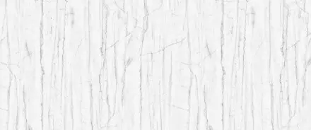 Сальвадор 8271/6